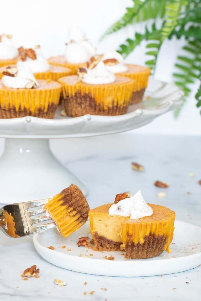 Pumpkin Cheesecake Bites + Pecan Crust