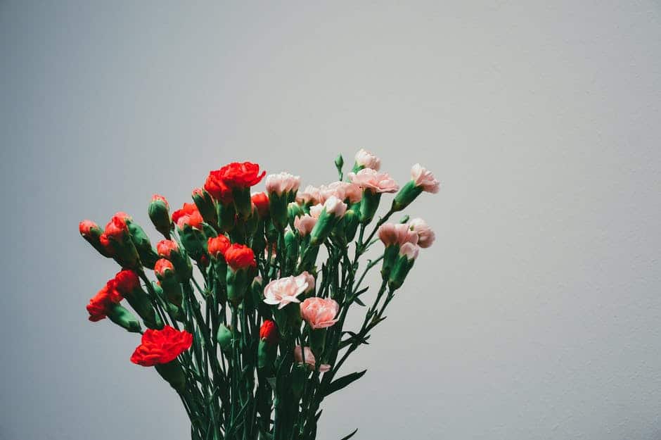 Bouquet of red and pink flowers.