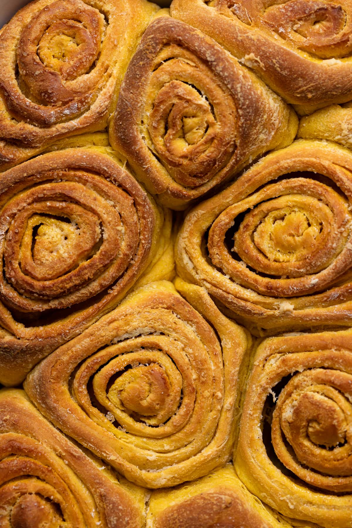 Unglazed Vegan Pumpkin Cinnamon Rolls.