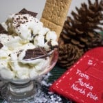 Homemade S'mores Ice Cream: No Churn Needed