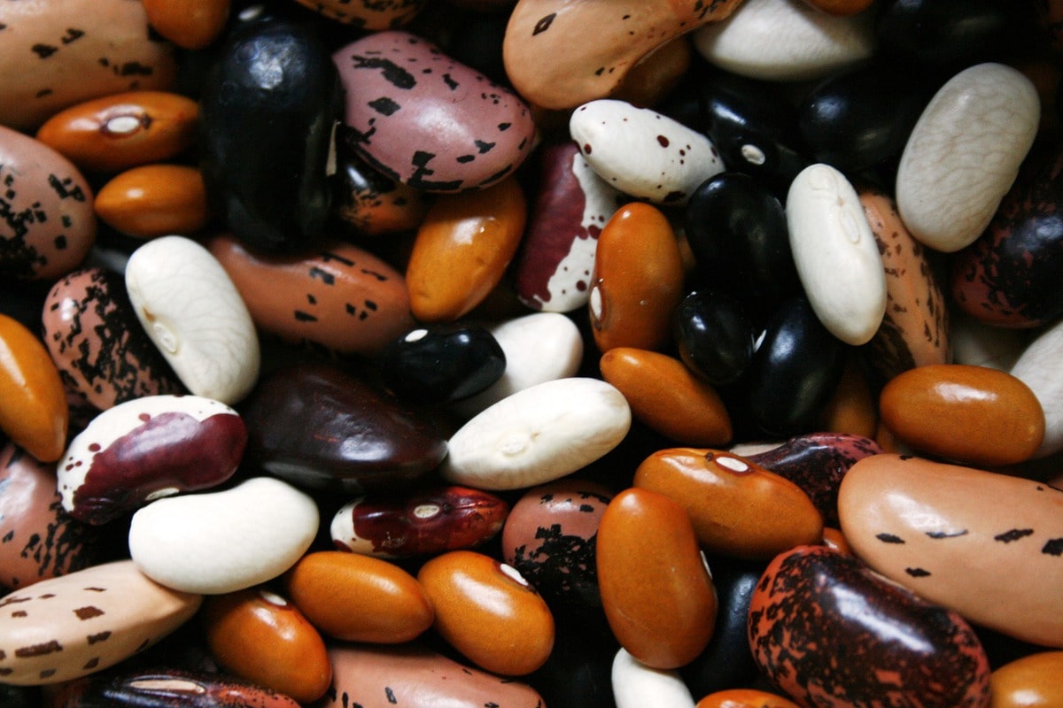 Closeup of mixed beans