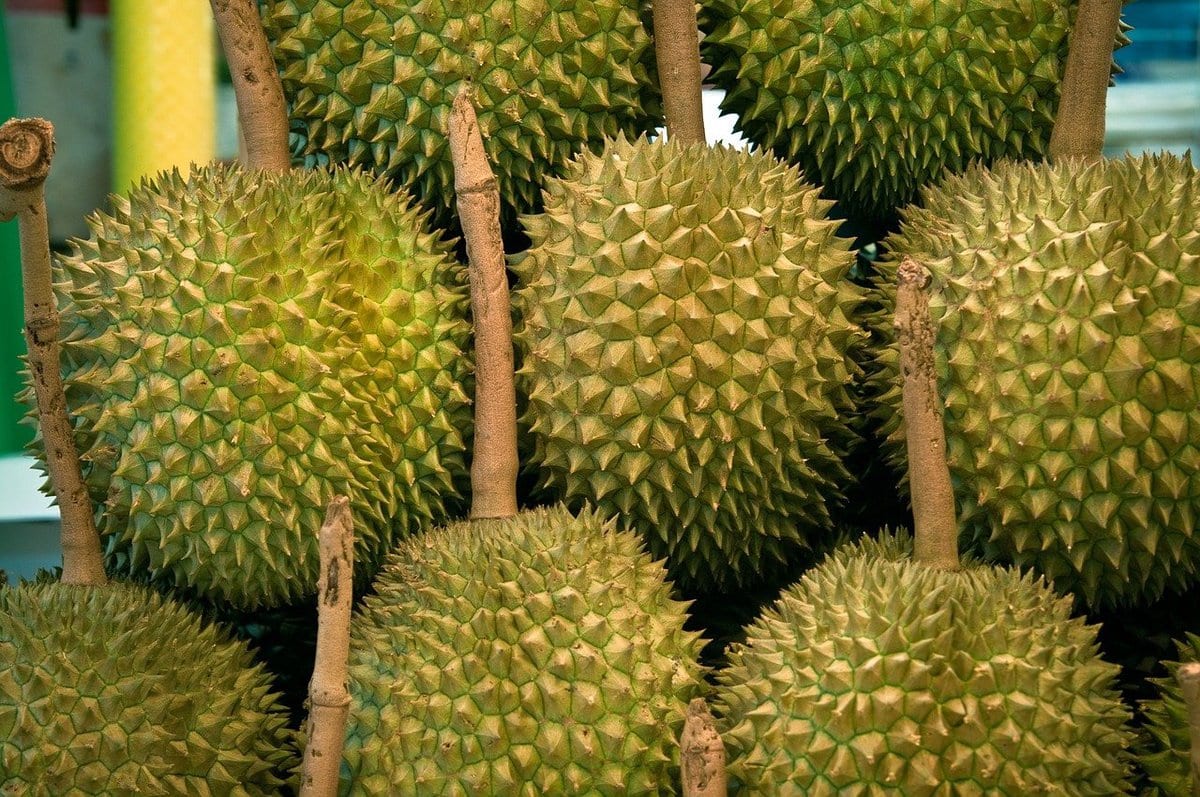 Pile of jackfruit