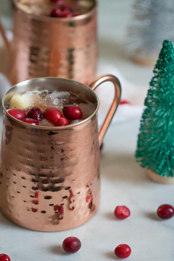 Cranberry Apple Cider Orange Sangria