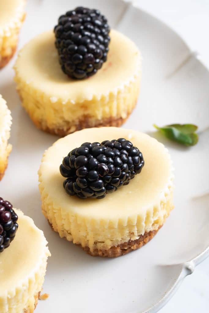 Blackberries atop New York-Style Cheesecake Bites.