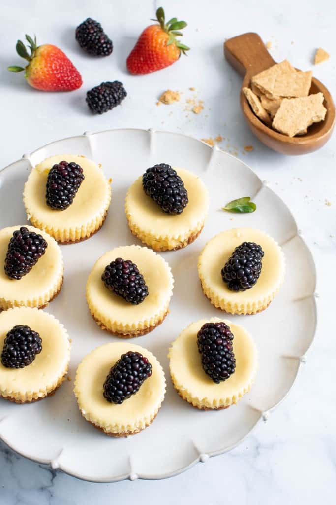 New York-Style Cheesecake Bites topped with blackberries and on a platter.