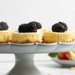 New York-Style Cheesecake Bites