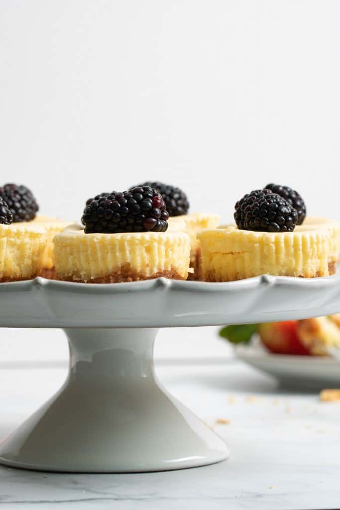 New York-Style Cheesecake Bites topped with blackberries.