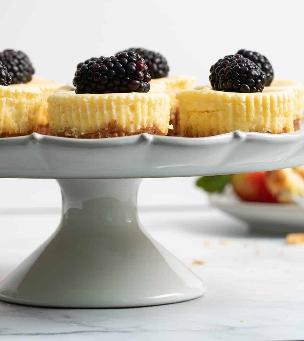 Mini Cheesecake Pans : Target