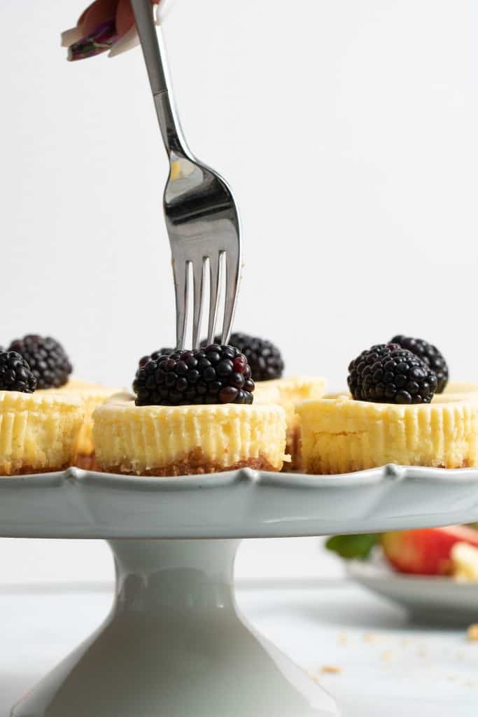 Fork grabbing a blackberry from atop of New York-Style Cheesecake Bite.