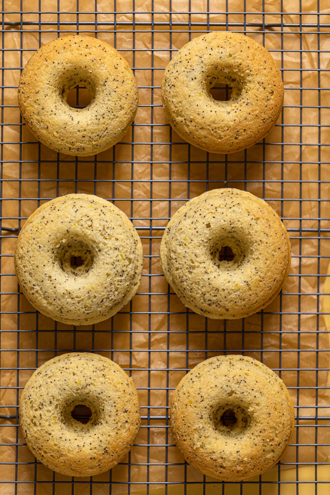 Unglazed Vegan Lemon Poppy Seed Donuts on a wire rack