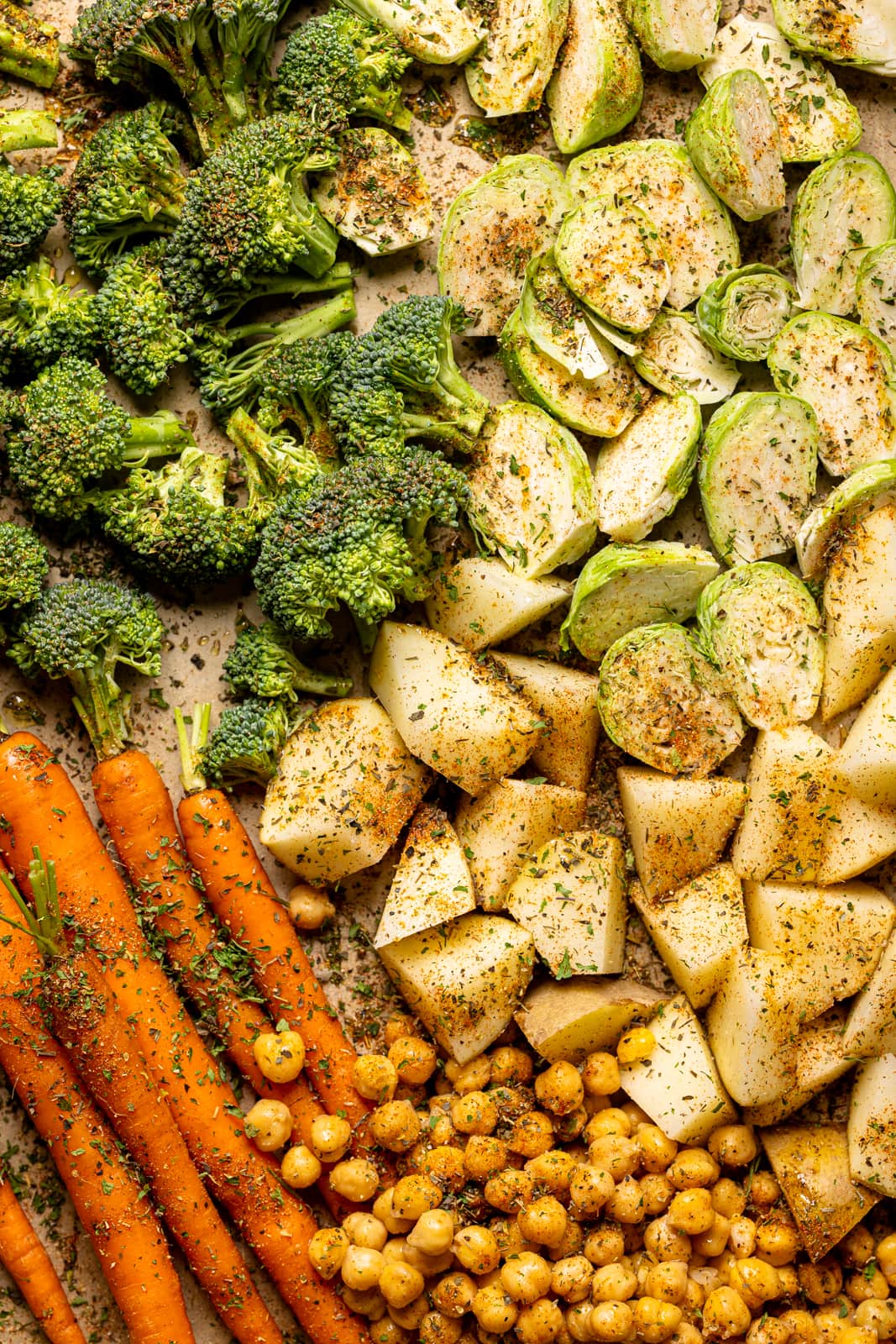 Up close shot of seasoned veggies including broccoli, potatoes, carrots, chickpeas, and brussels sprouts. 