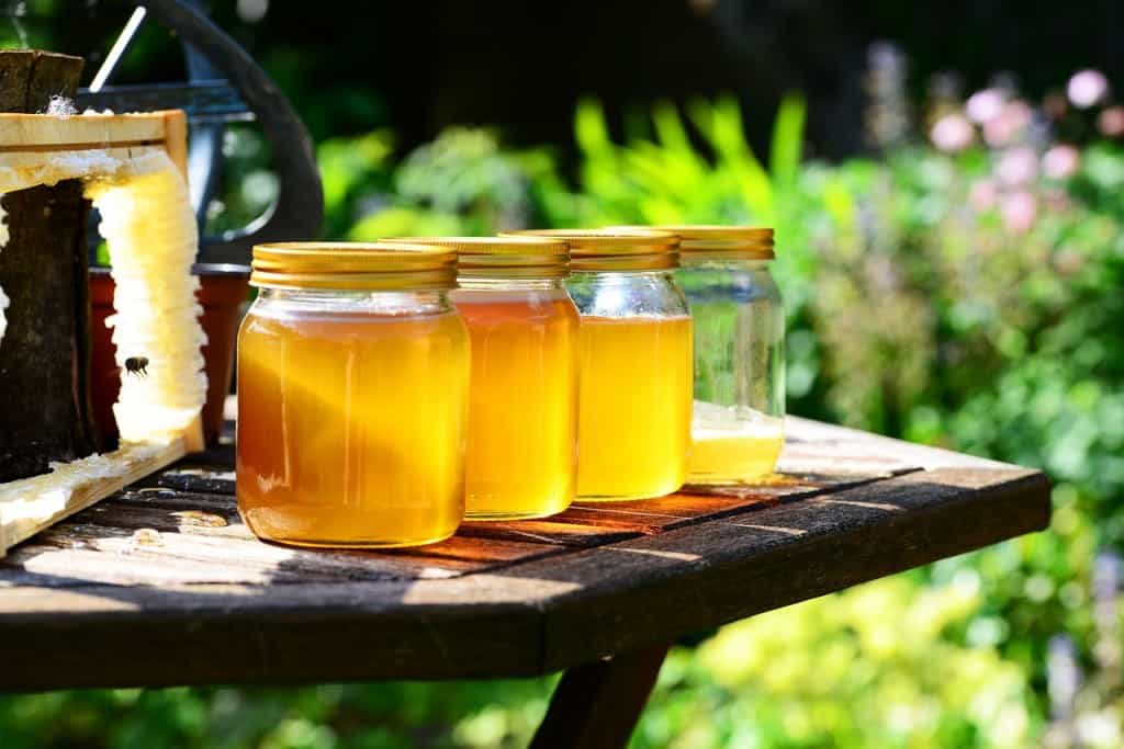 Line of jars with honey.