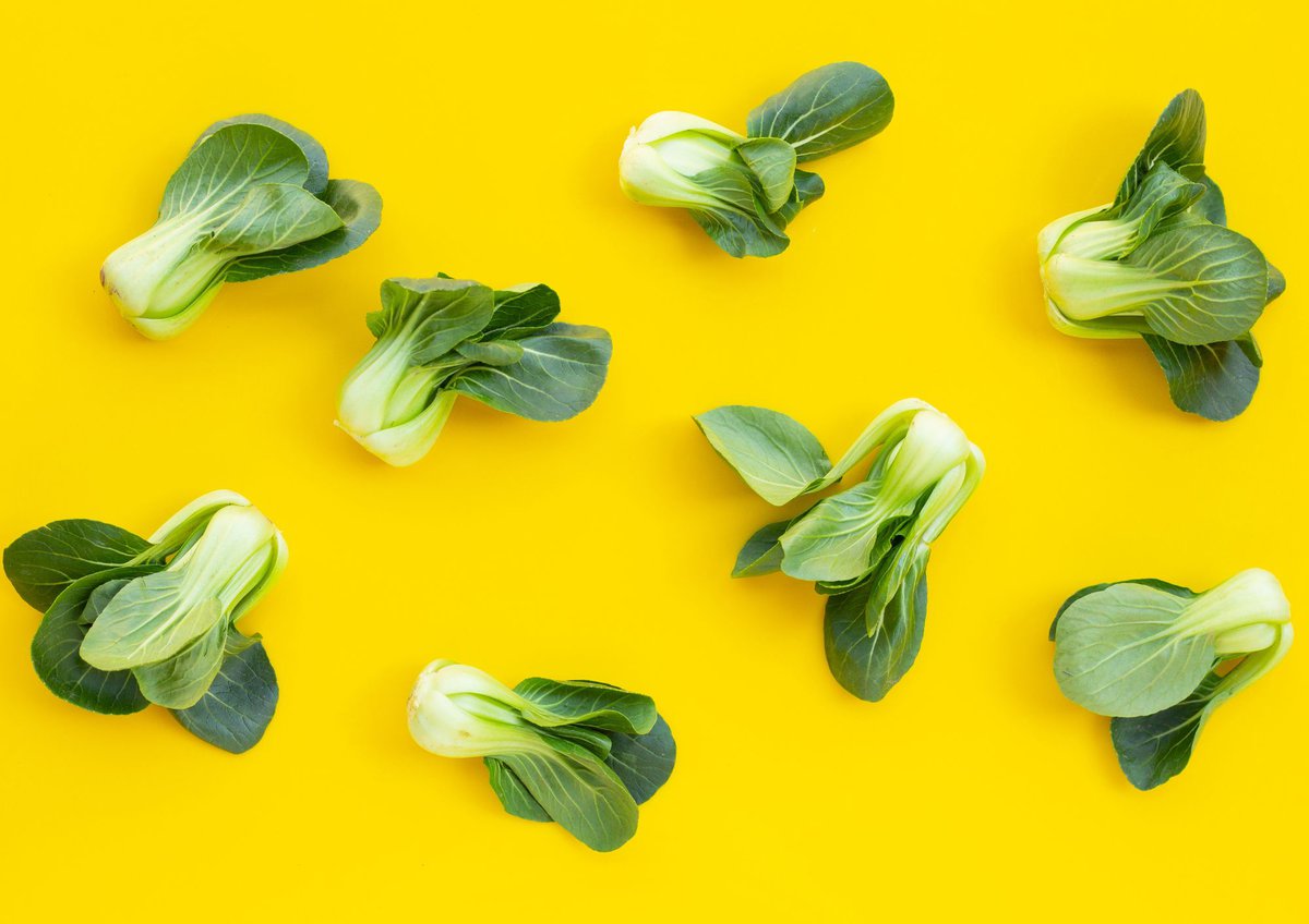 8 mini boy choy on yellow background.