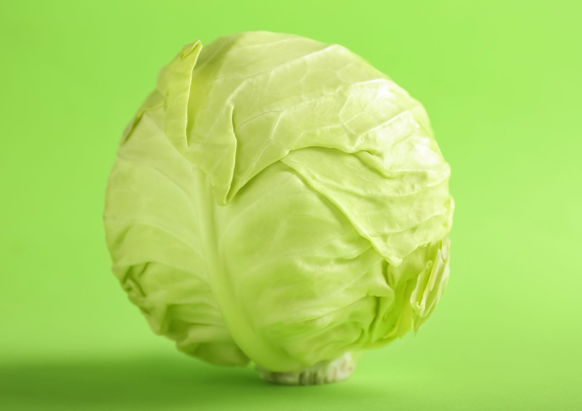 Whole green cabbage on green background.