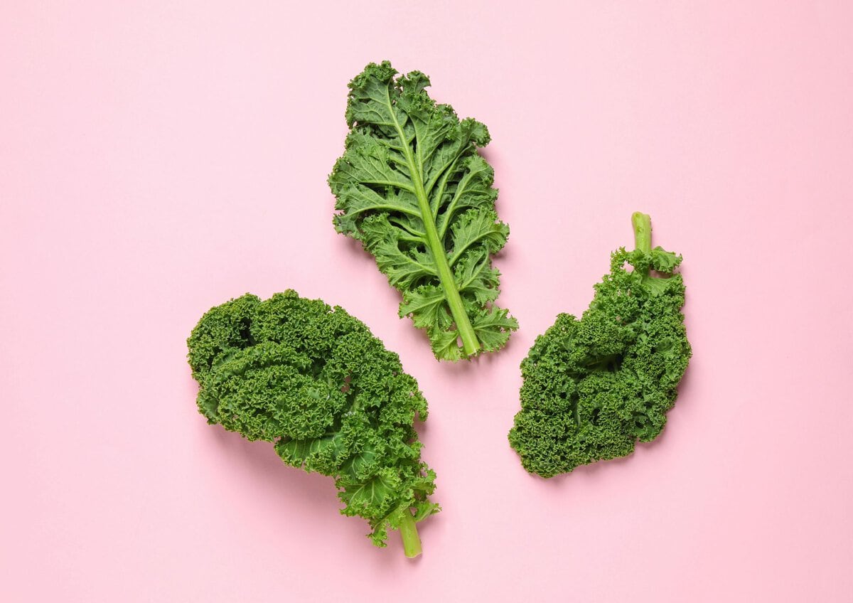 Kale on pink background
