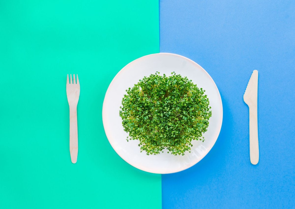Microgreens in white bowl with green and blue background.