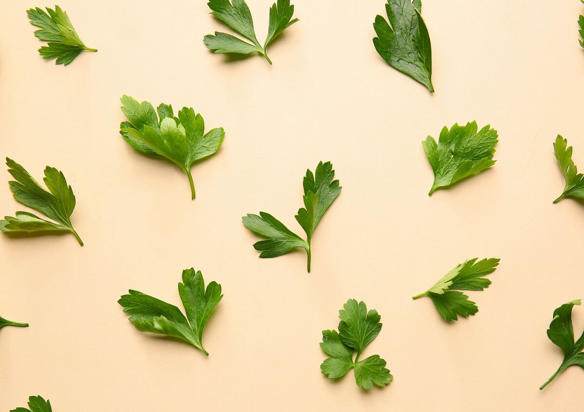 Bits of parsley on orange background.