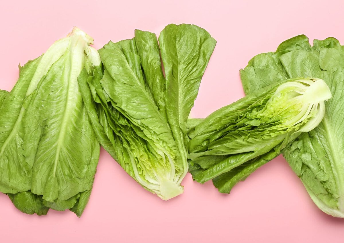 Romaine Lettuce on pink background.