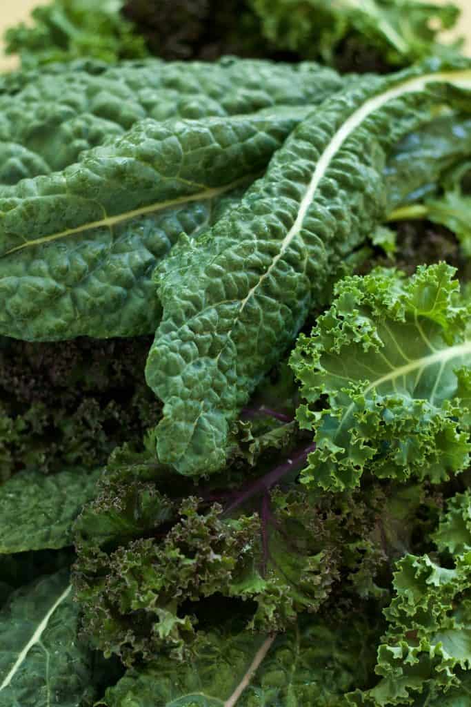 Our Top 12 Favorite Healthy Green Leafy Vegetables
