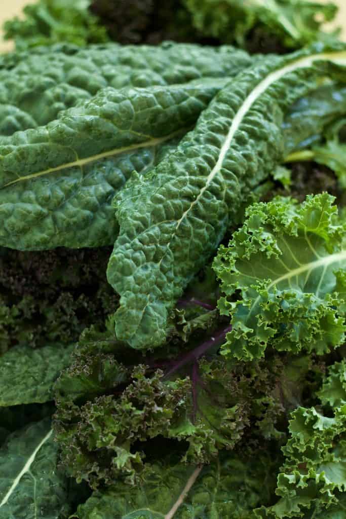 Pile of different kinds of kale.