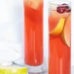 Apple Cranberry Ginger Lemon Detox Juice
