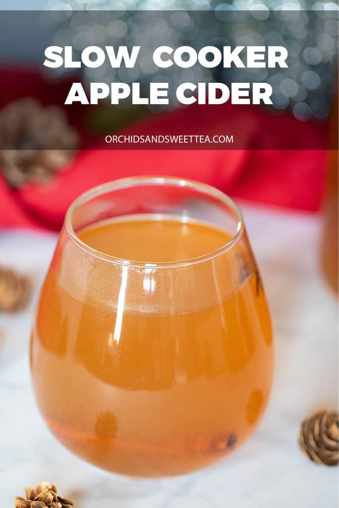 Homemade Slow Cooker Apple Cider