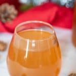 Homemade Slow Cooker Apple Cider