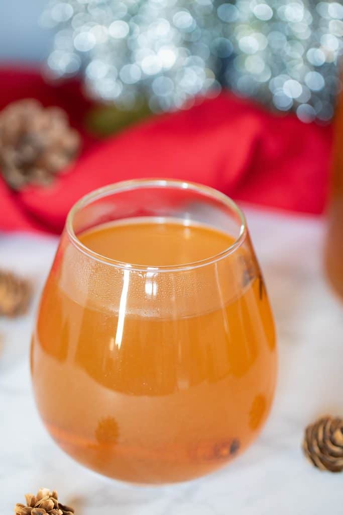 Homemade Slow Cooker Apple Cider