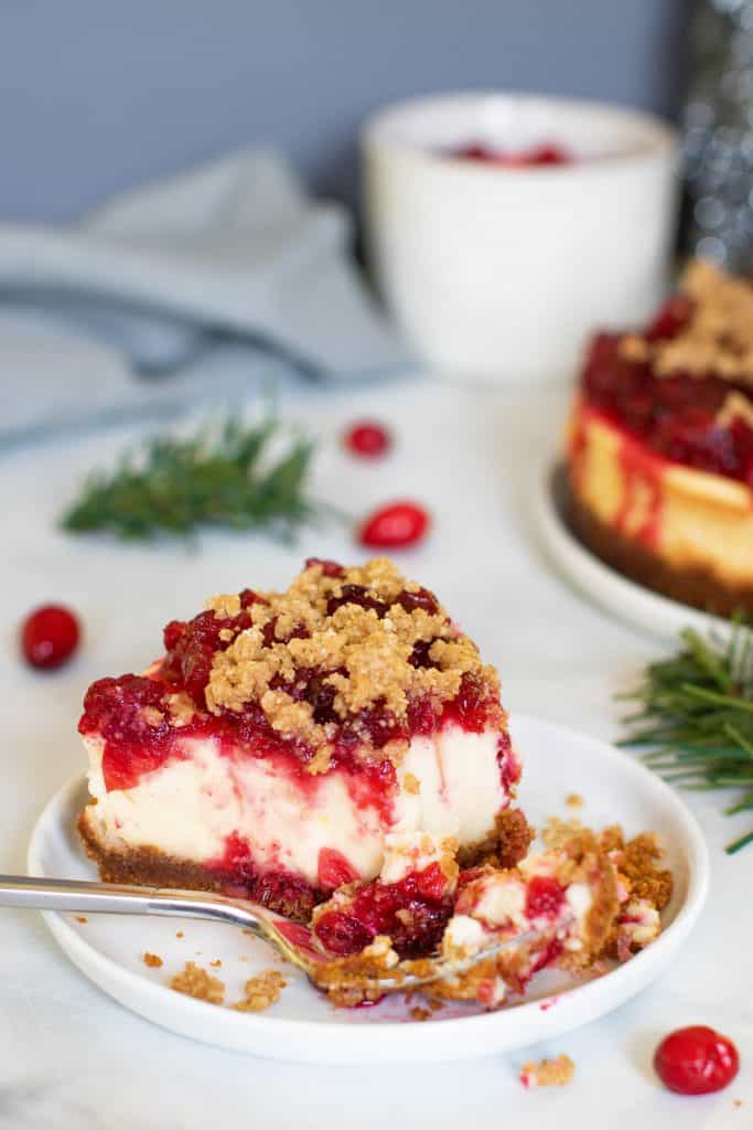 Cranberry Cheesecake + Gingersnap Crust