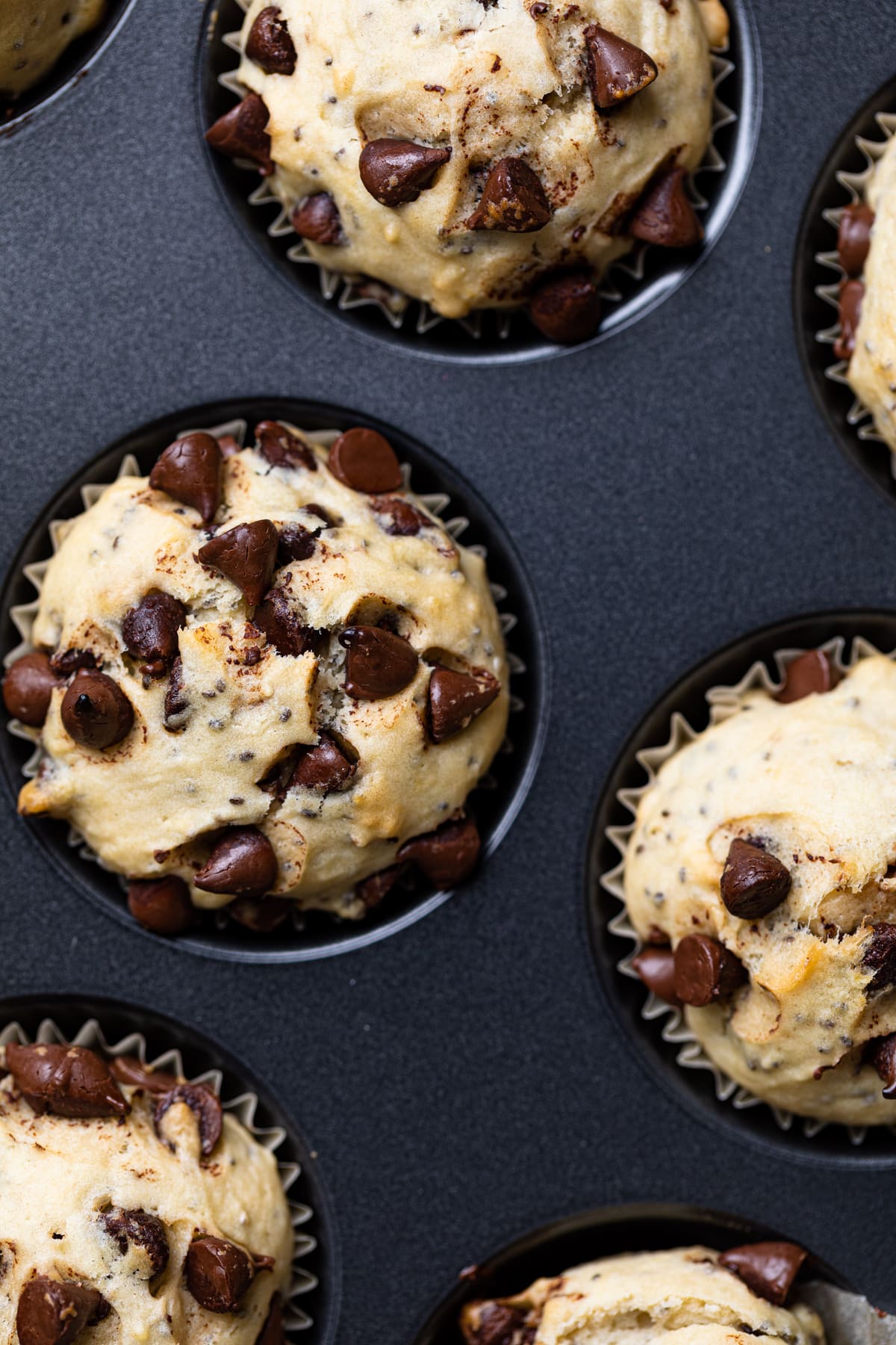 Chocolate Chip Chia Seed Energy Muffins
