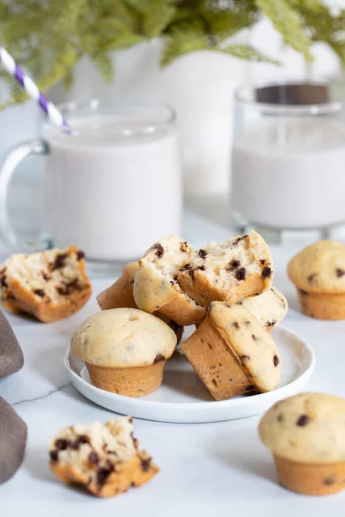 Mini Chocolate Chip + Chia Seed Energy Muffins
