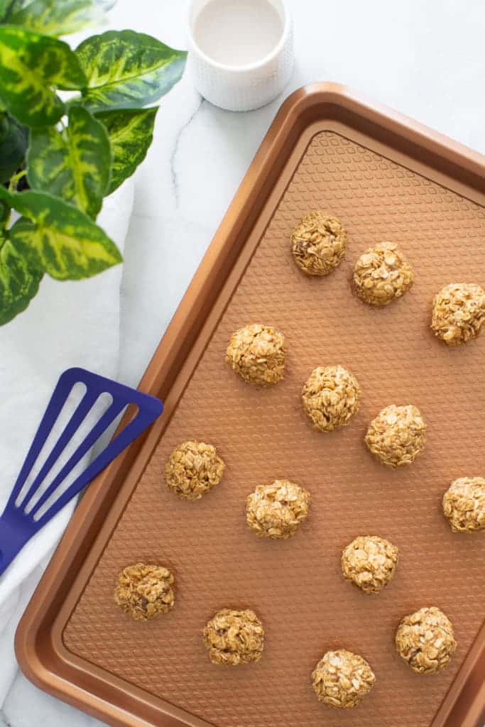 Easy Healthy Peanut Butter No-Bake Energy Bites