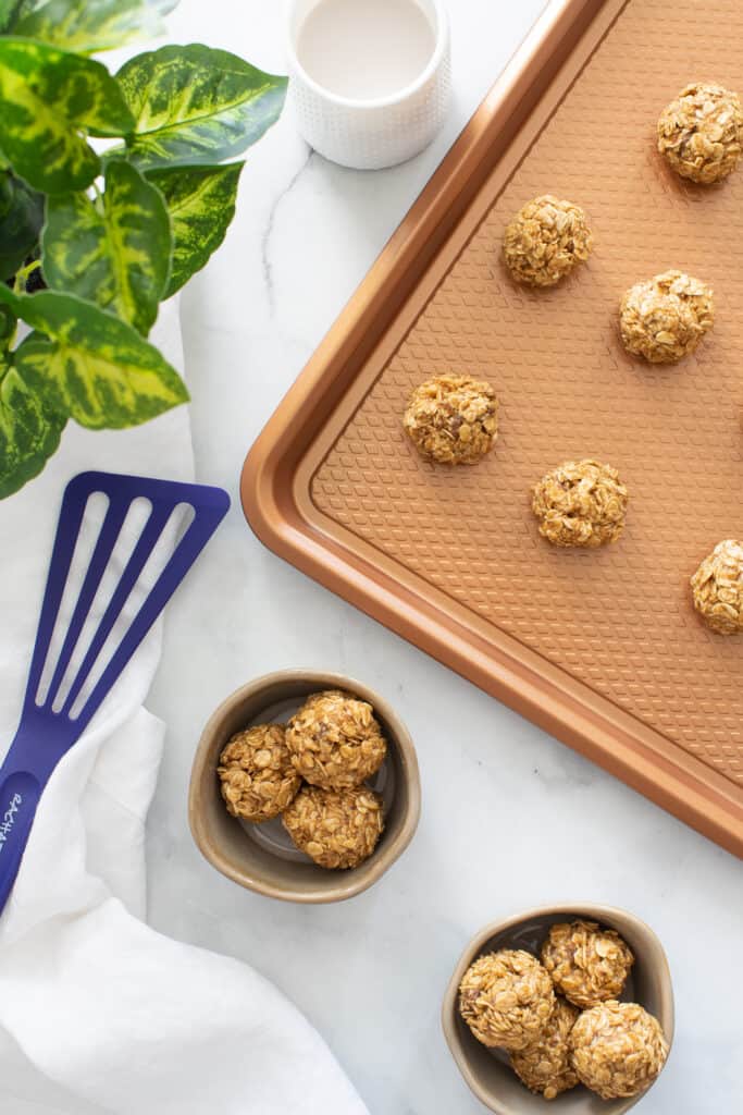 Easy Healthy Peanut Butter No-Bake Energy Bites