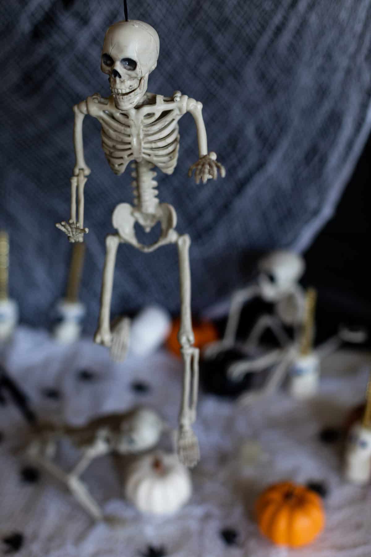 Skeleton hanging over a table.
