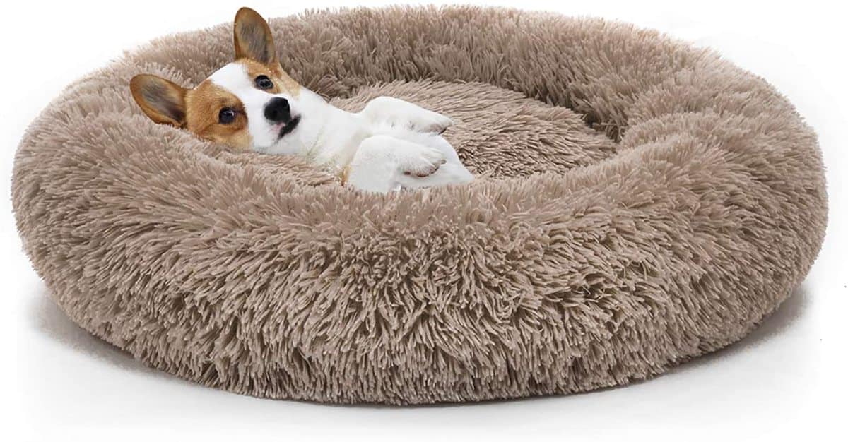 Dog lying in a donut dog bed.