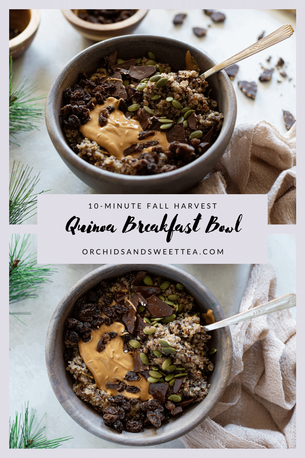 10-Minute Fall Harvest Quinoa Breakfast Bowl
