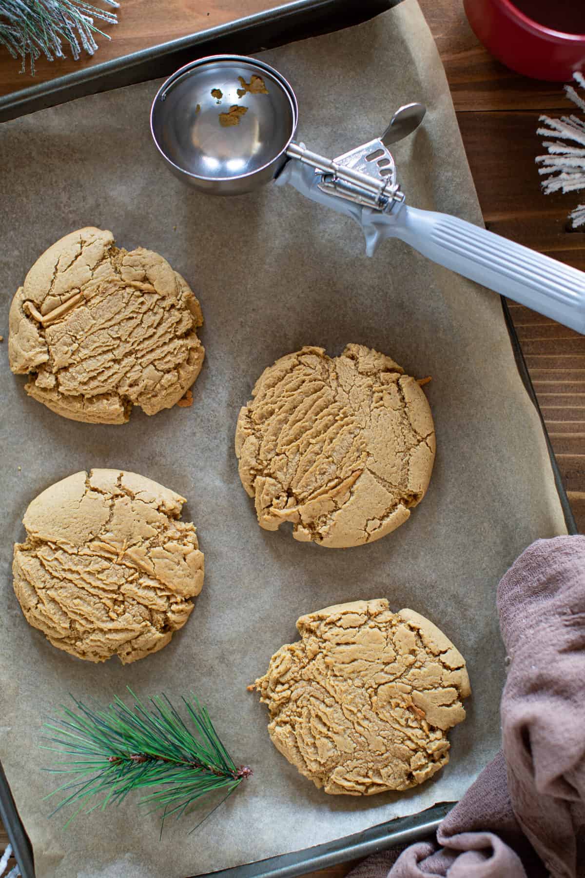 Soft + Chewy Christmas Gingerbread Cookies