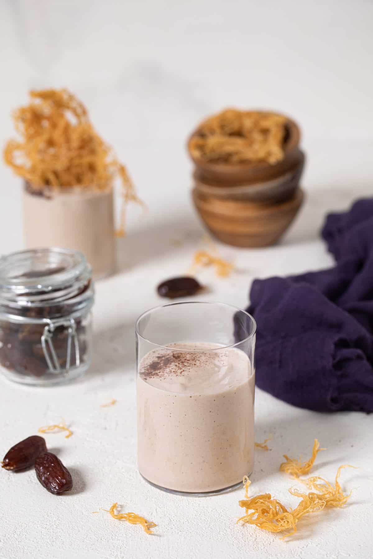 Vegan Jamaican Irish Moss (Sea Moss) Drink