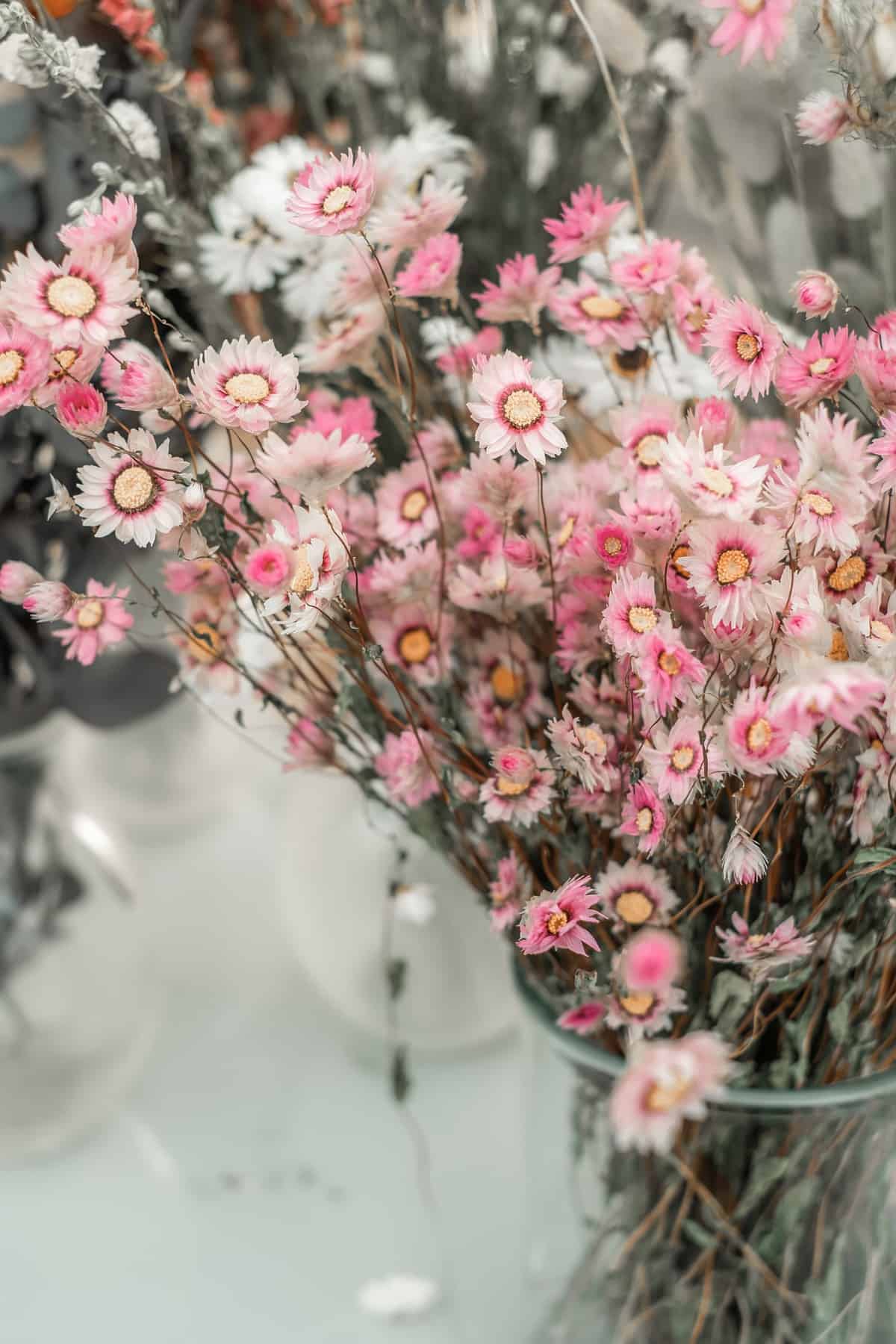 Vase full of pink flowers.