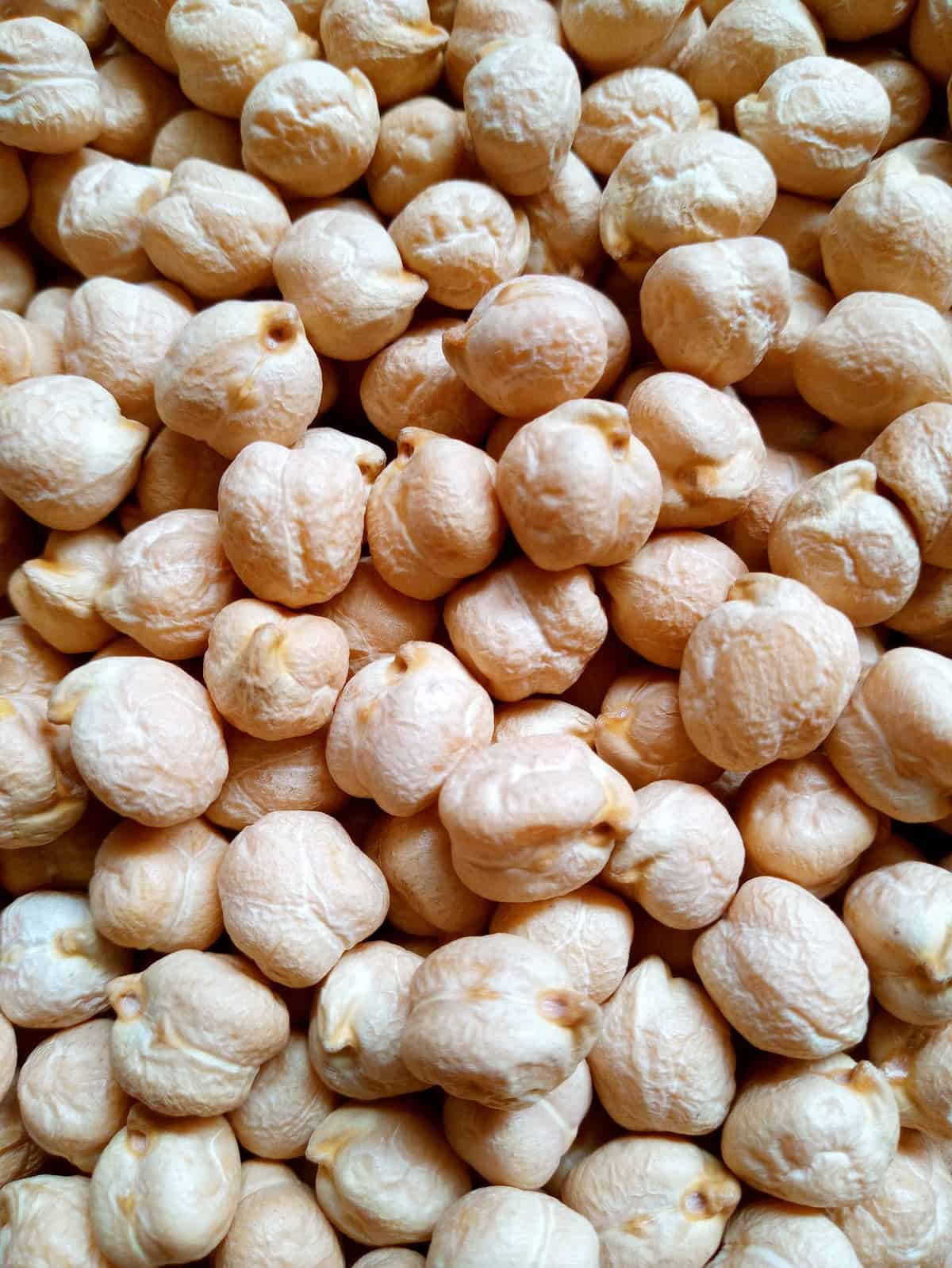 Closeup shot of chickpeas.