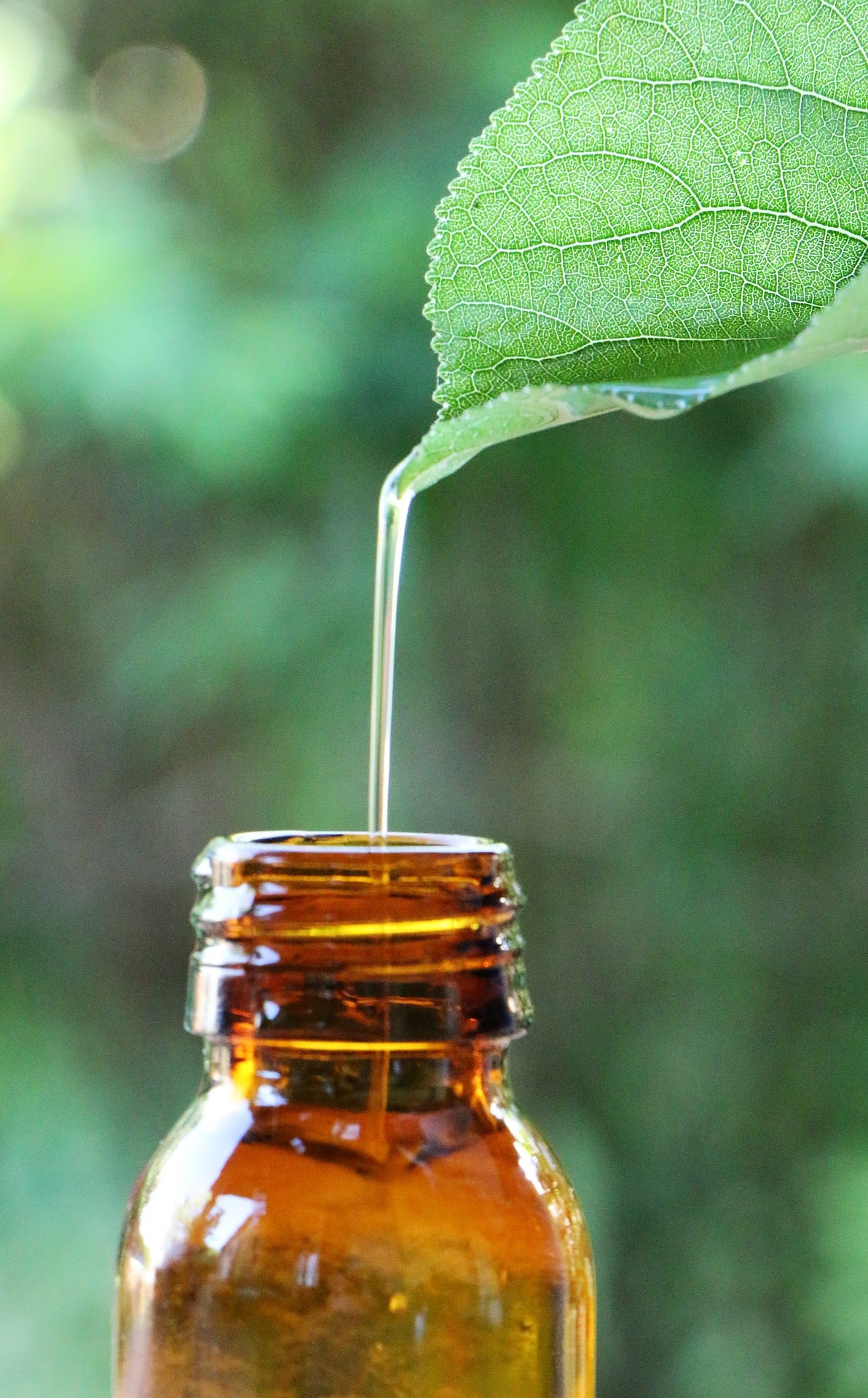 10 Best Essential Oils to Use as a Natural Remedy