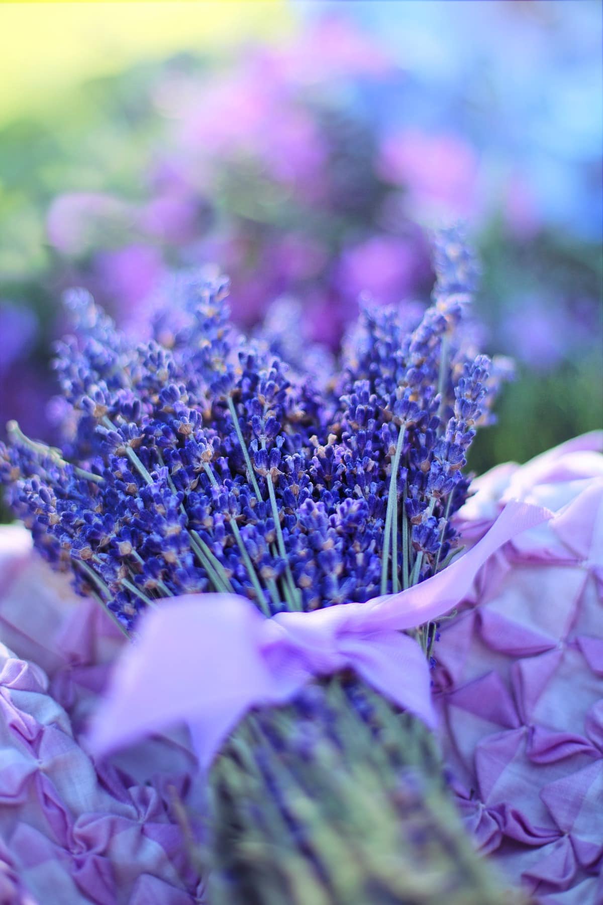 Basket of lavender with a purple cloth.