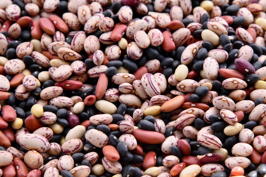 what the world's longest living people are eating beans