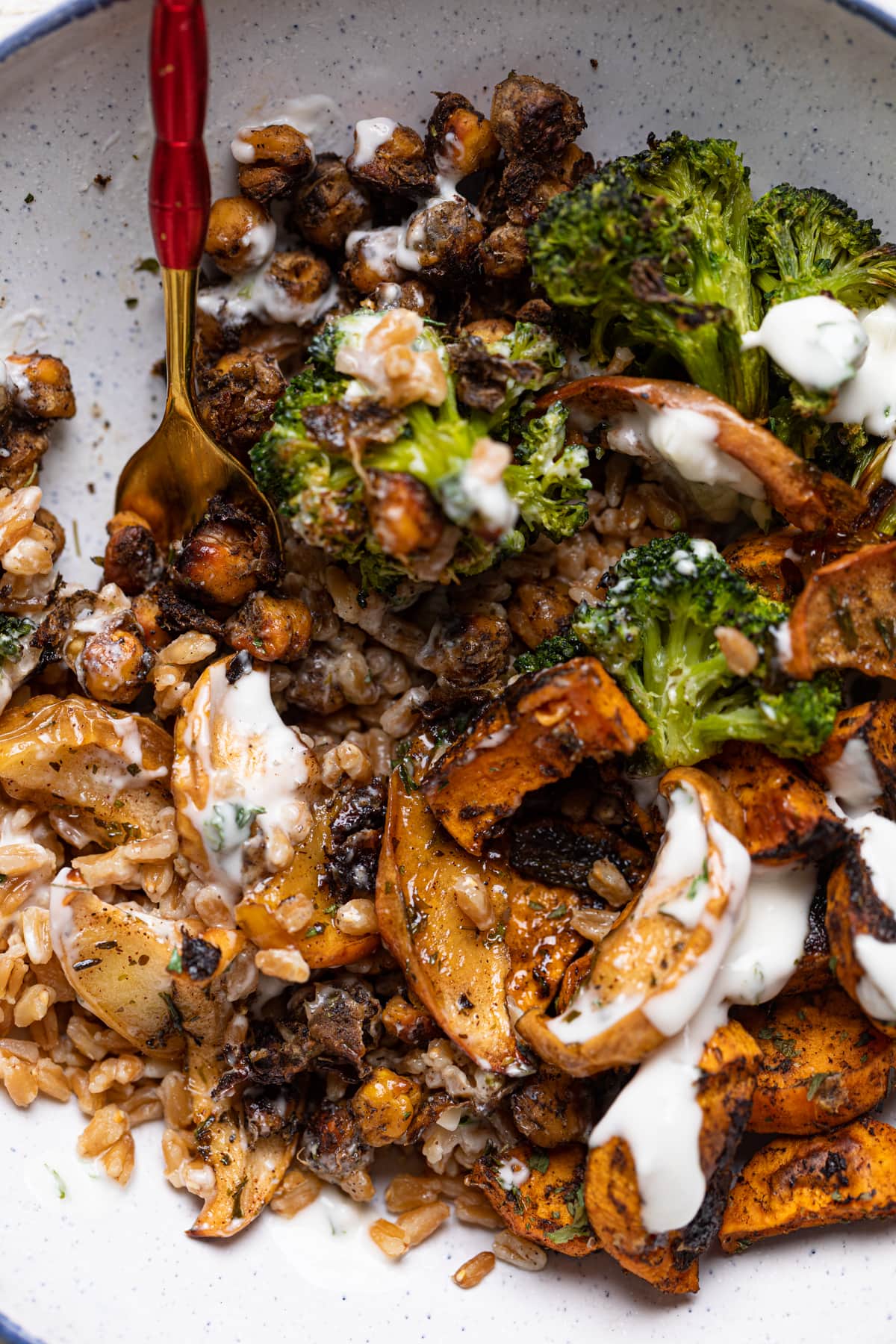 Closeup of a Jerk Vegetable Farro Bowl 