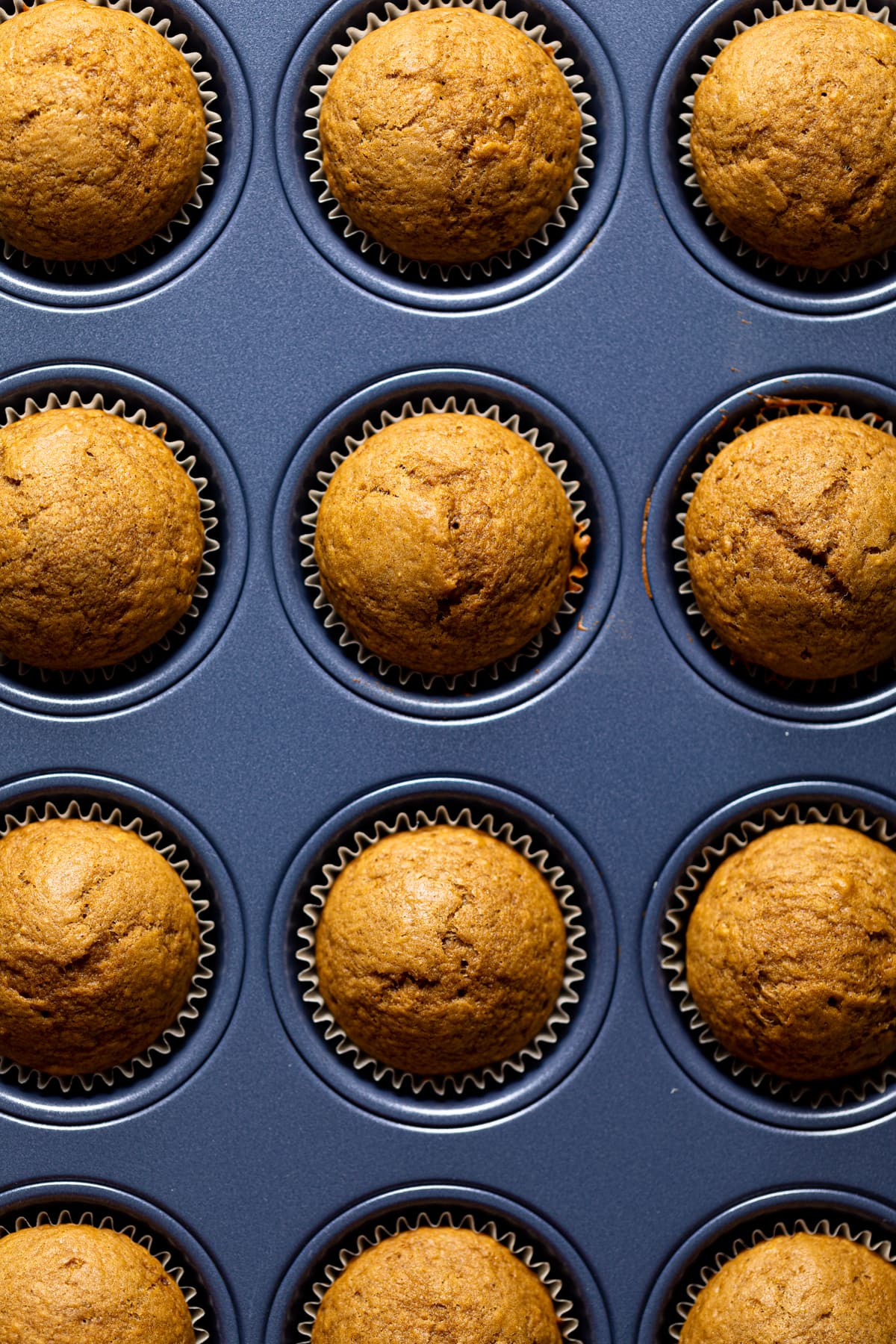 Gingerbread Cupcakes in a muffin pan