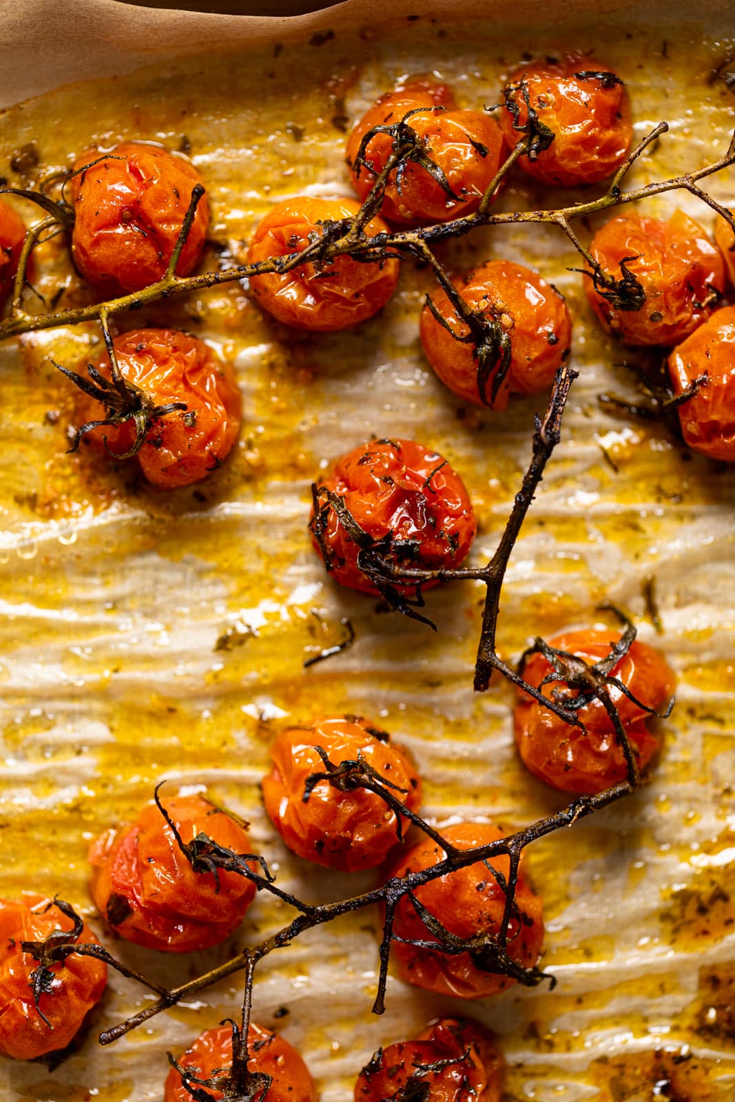 Closeup of roasted tomatoes on parchment paper