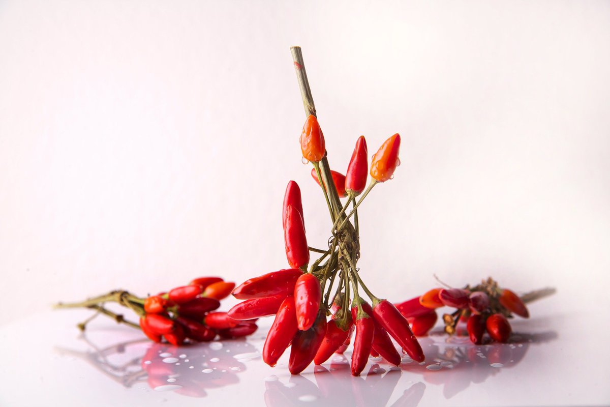 Red peppers still on a branch.