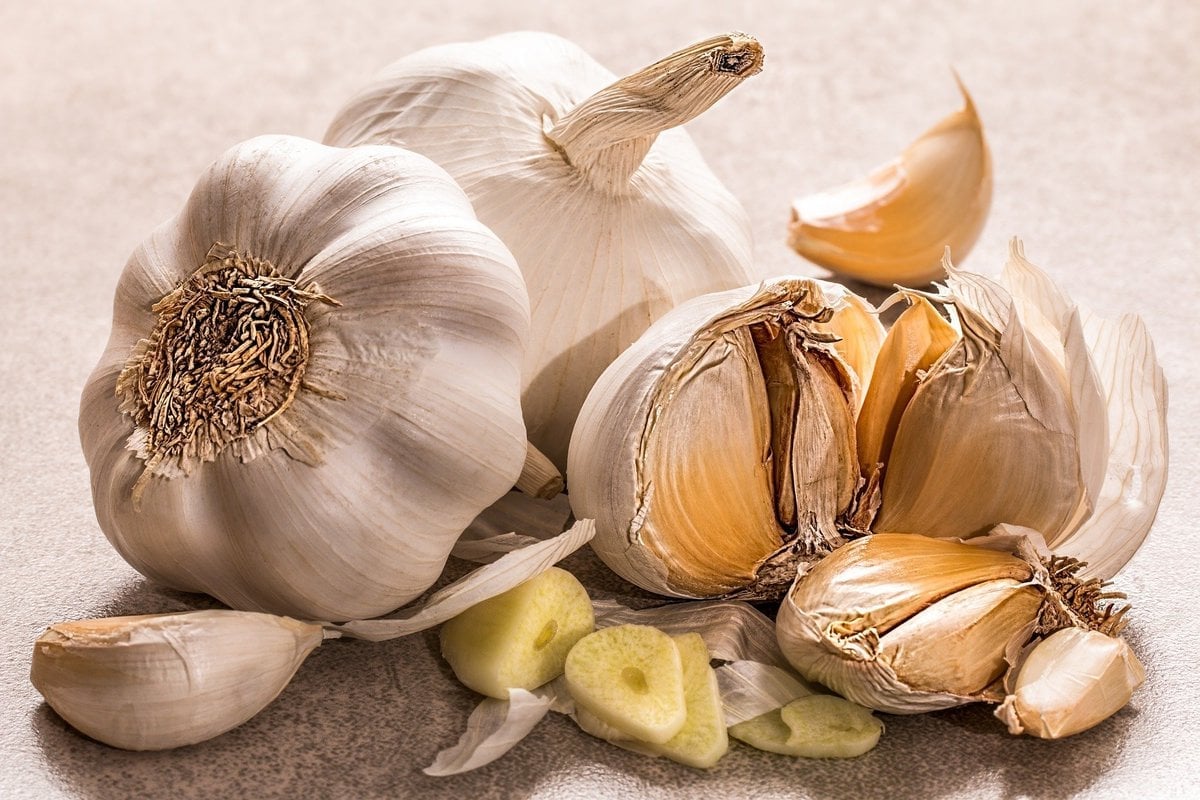 Closeup of bulbs of garlic