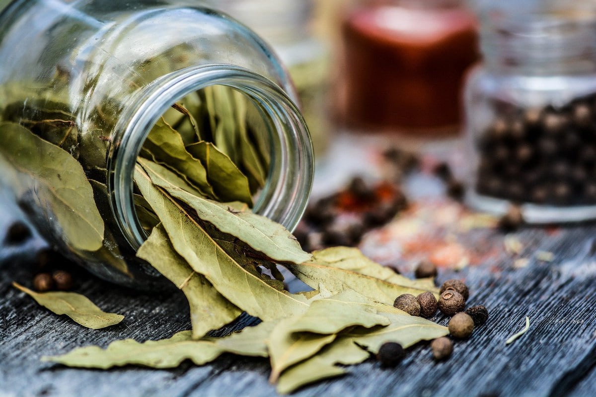 Dried leaves pouring out of a glass jar.