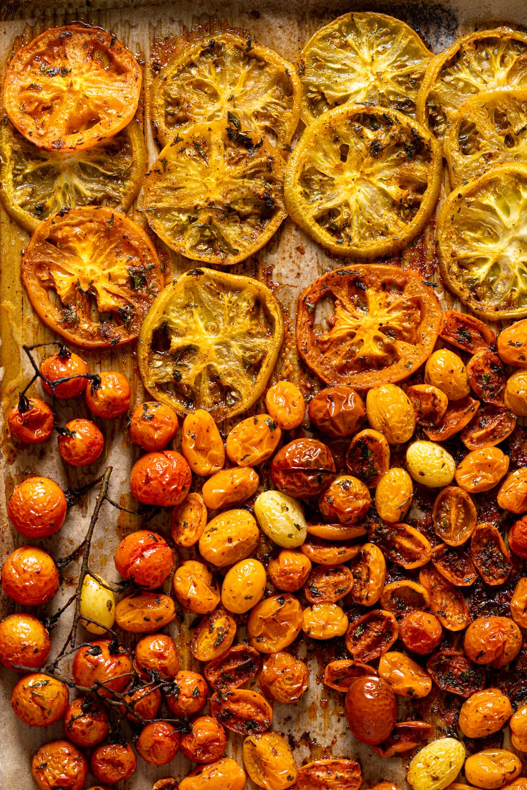 Baking sheet full of various types of roasted tomatoes
